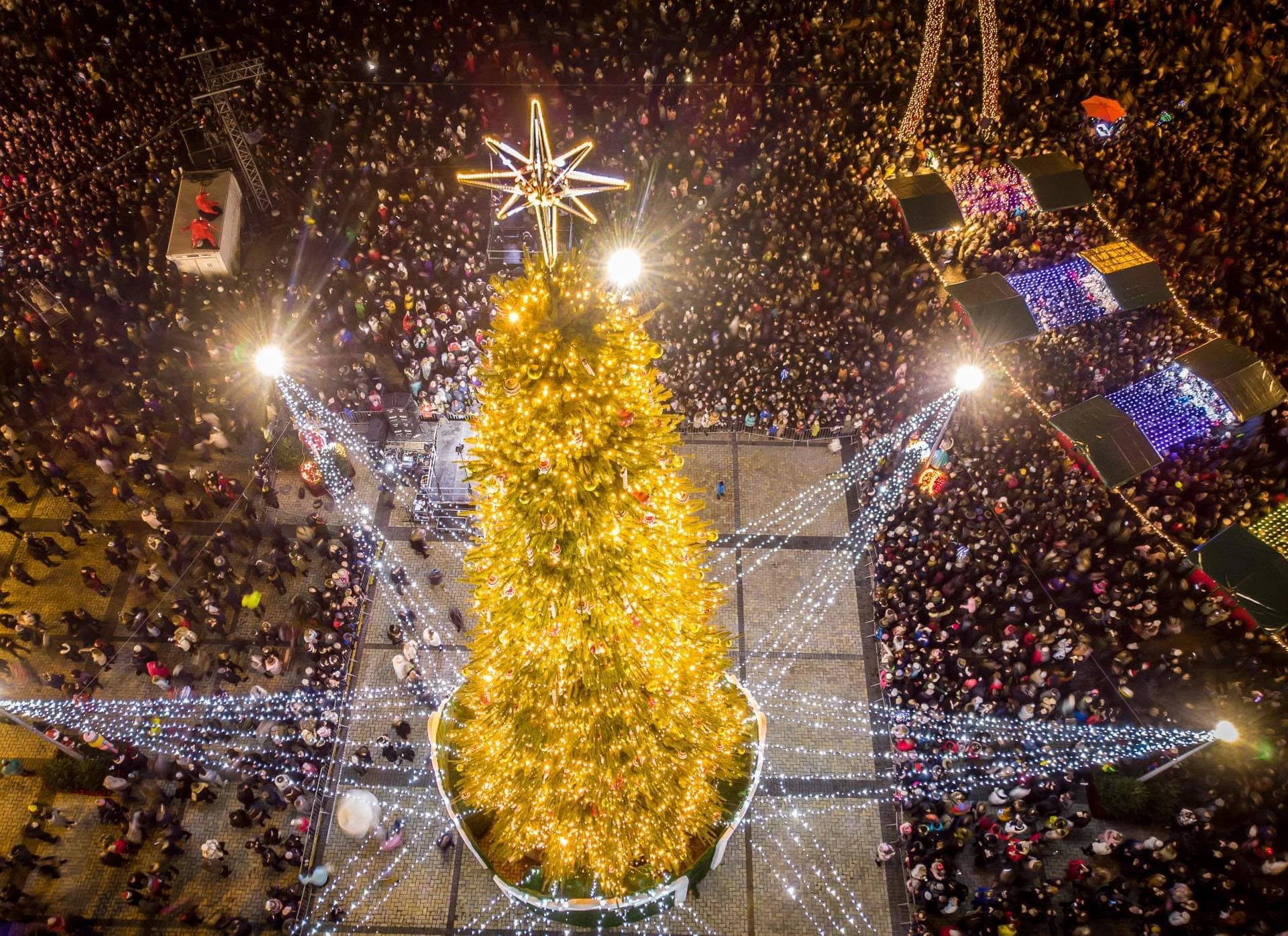 Головна ялинка Києва вночі