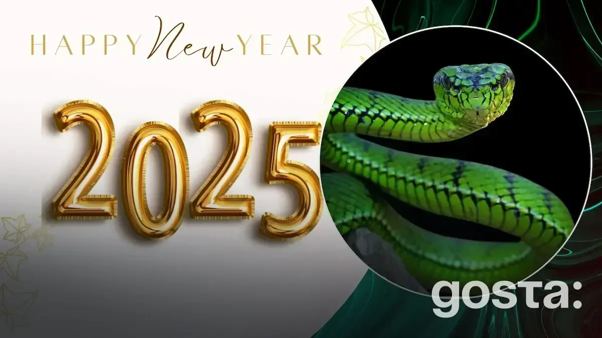 2025 Year of Which Animal? All About the Symbol of the Coming Year