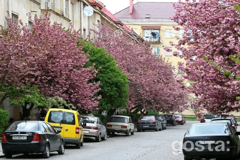 Що подивитися в Ужгороді – 7 визначних місць: Малий Галагов