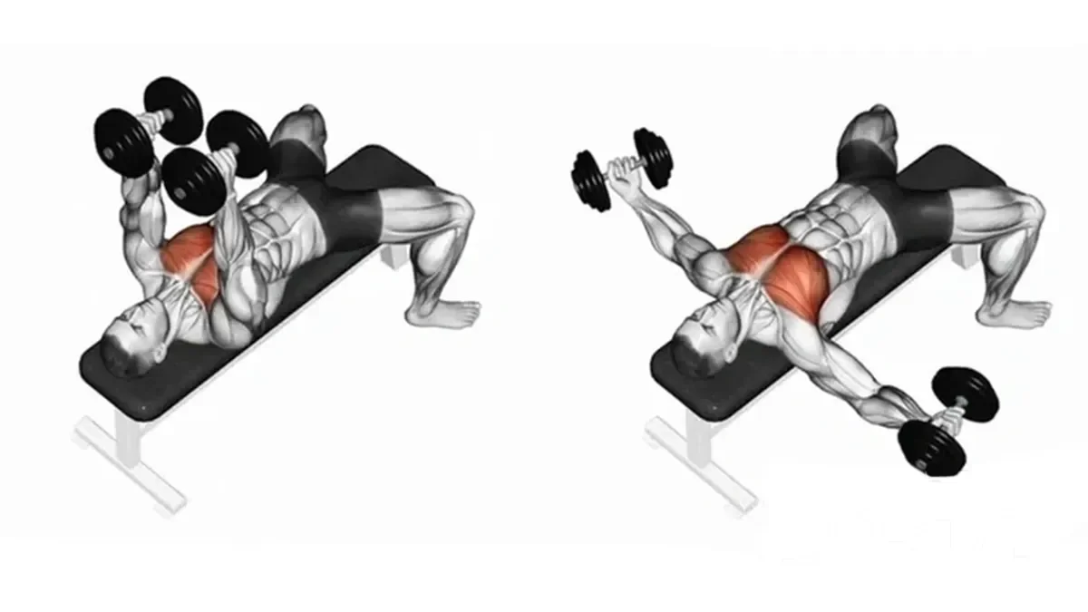 Chest Exercises – Comprehensive Chest Workout: Dumbbell Fly