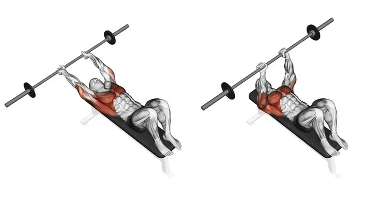 Chest Exercises – Comprehensive Chest Workout: Pullover