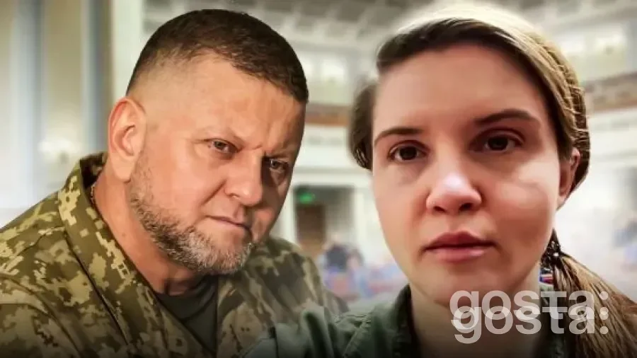 Володимир Зеленський висловлюється про роль нардепів і соцмереж.