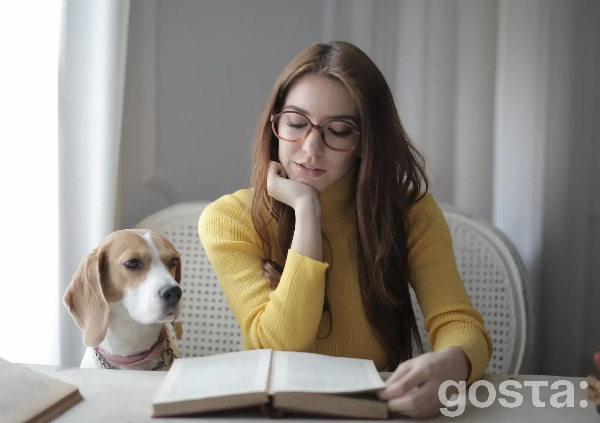 Дівчина читає книжку за столом Флегматик – загальна характеристика