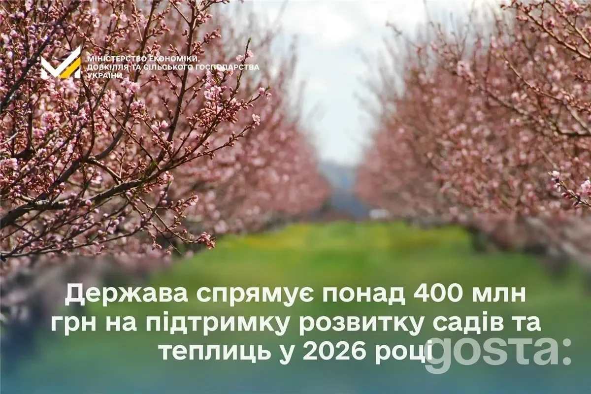 Квітучі сади, текст про державні гранти для підтримки садівництва та теплиць в Україні на фоні блакитного неба.