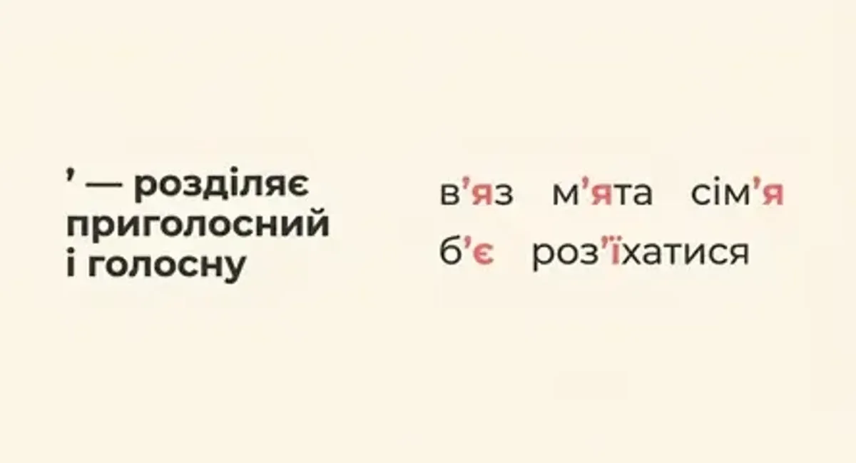 Апостроф: приклади вживання — в'яз, м'ята, сім'я, б'є, роз'їхатися