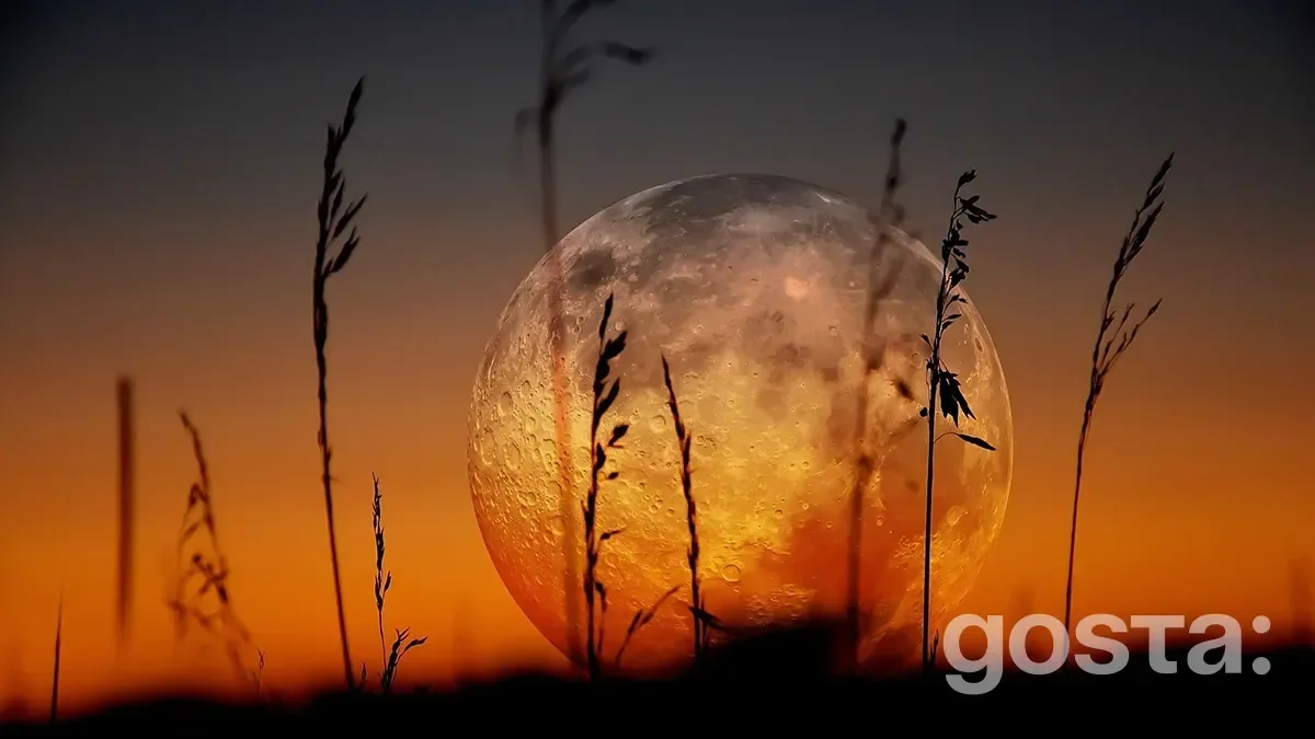 Lunar Calendar for November 2025