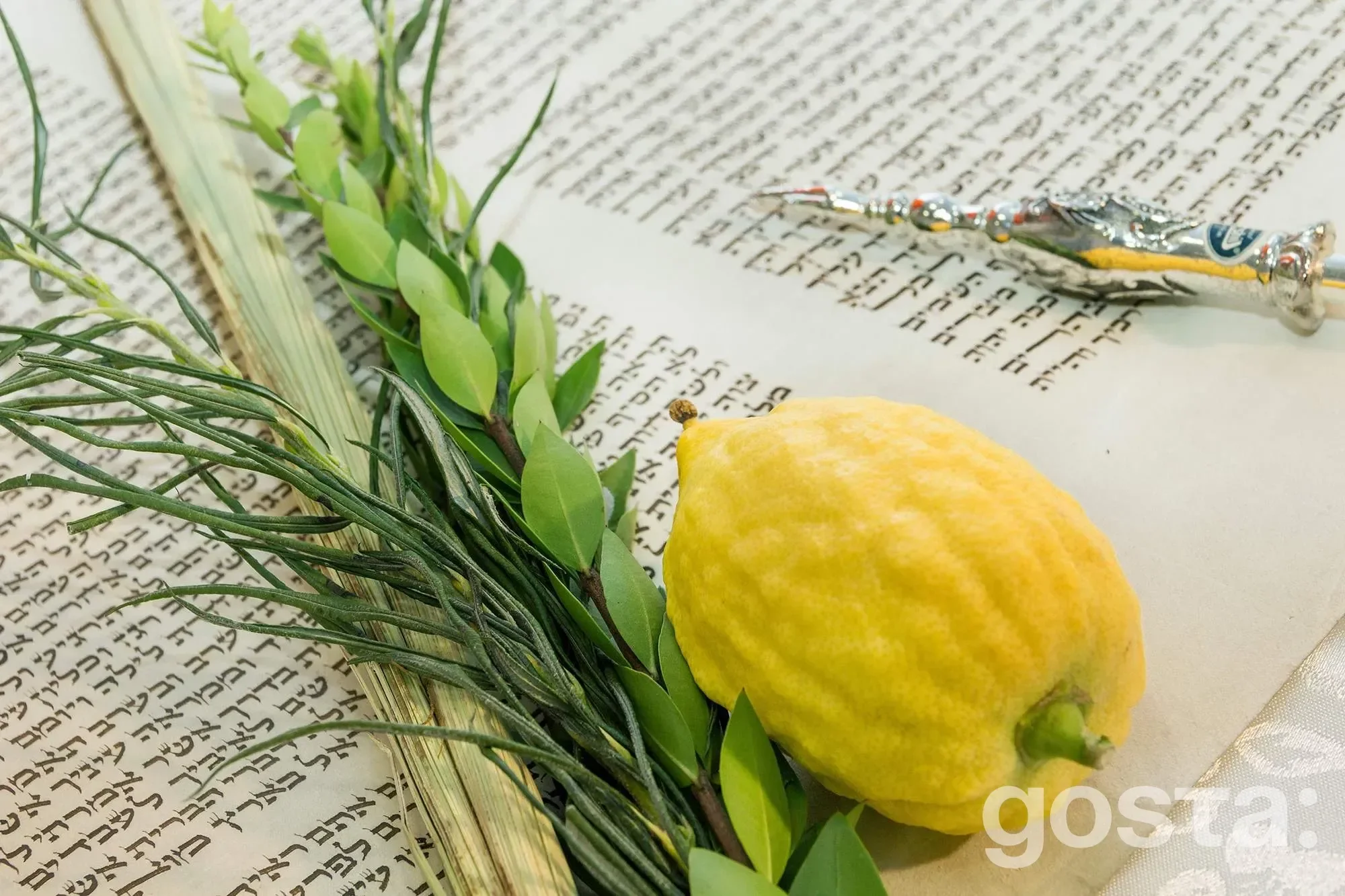 Sukkot, the Jewish feast of Tabernacles
