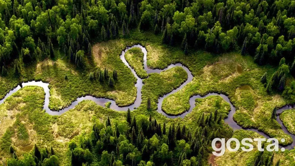 What You Need to Know About the Amazon River